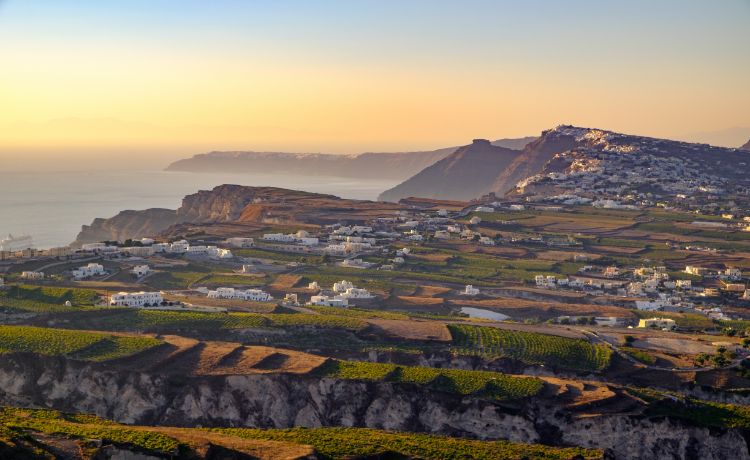 Santorini Vineyards - Vineyards of Vigor: The Viticultural Virtues of Santorini